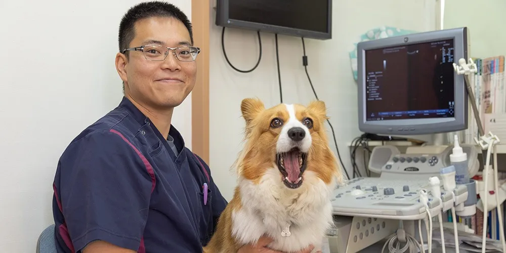 さいたま市岩槻区の動物病院での健康診断